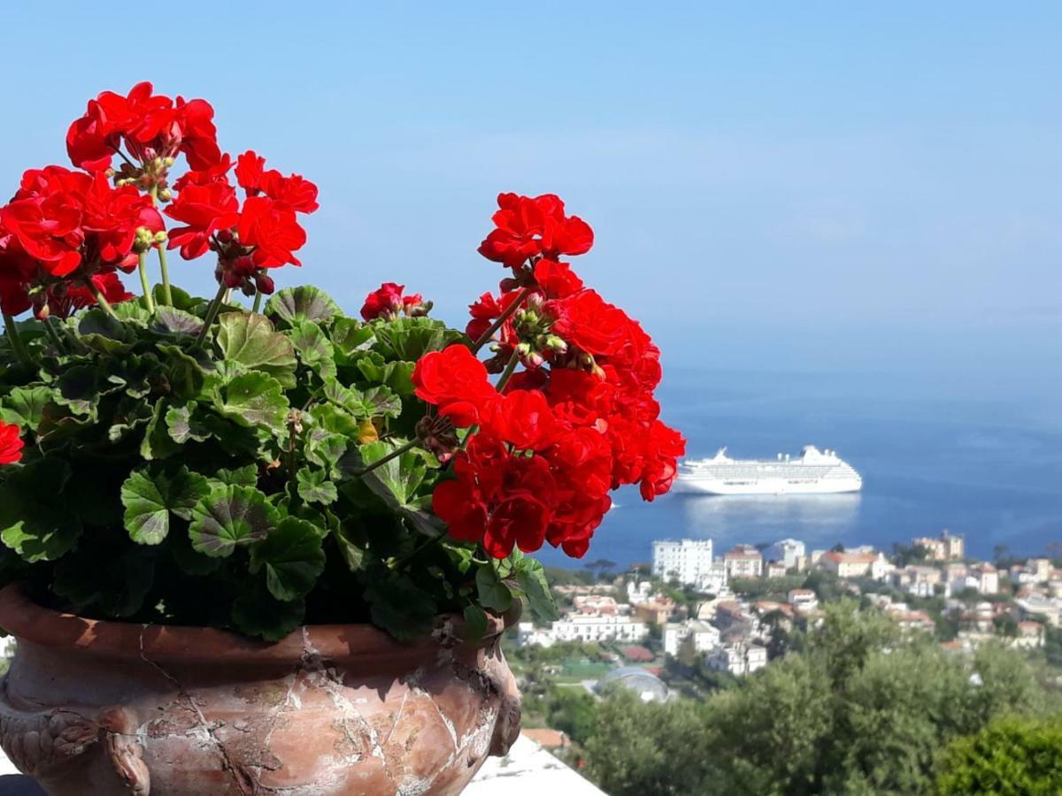 Le Muse Suite Sorrento Buitenkant foto