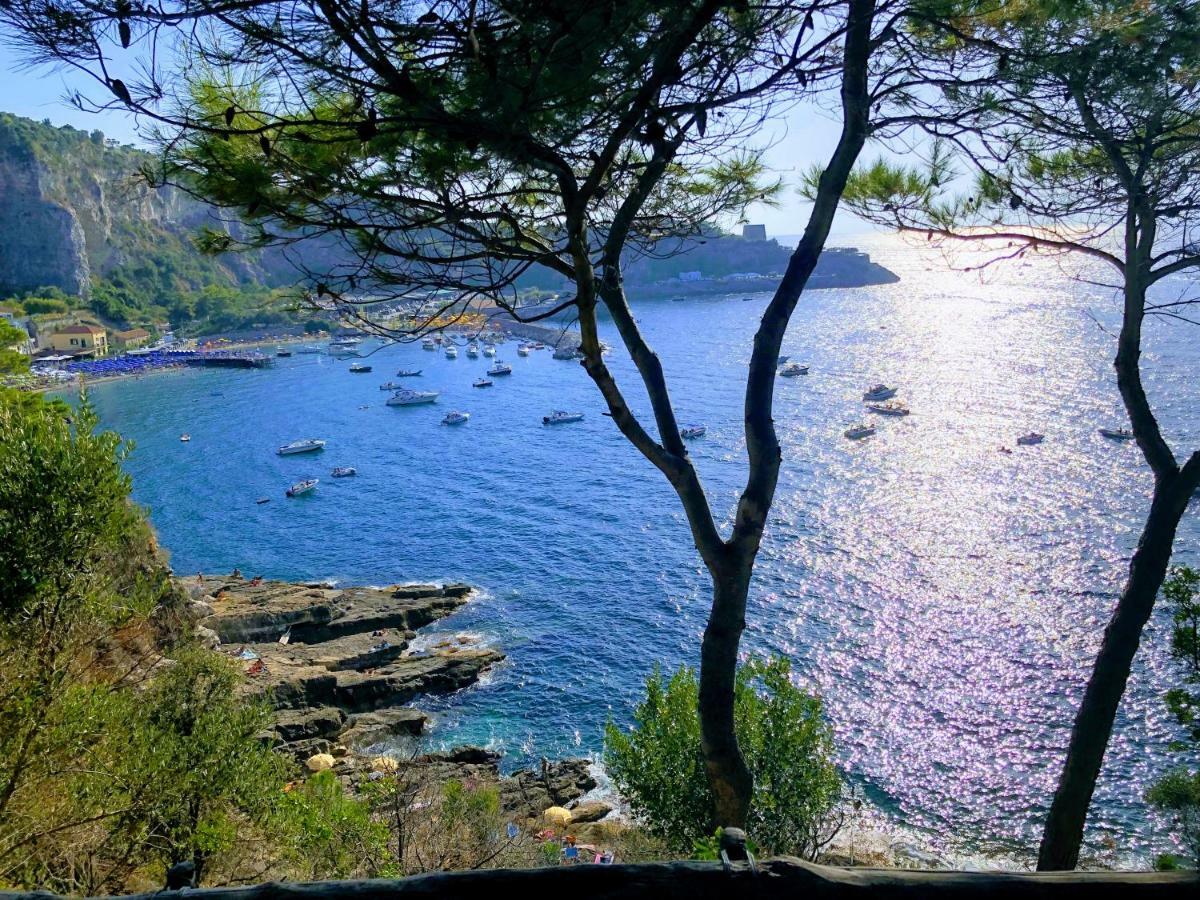 Le Muse Suite Sorrento Buitenkant foto