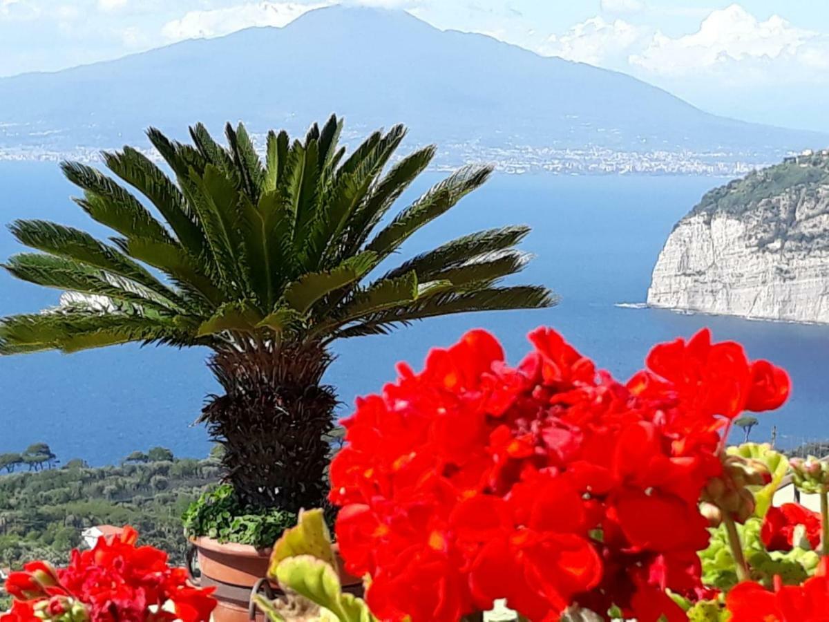 Le Muse Suite Sorrento Buitenkant foto